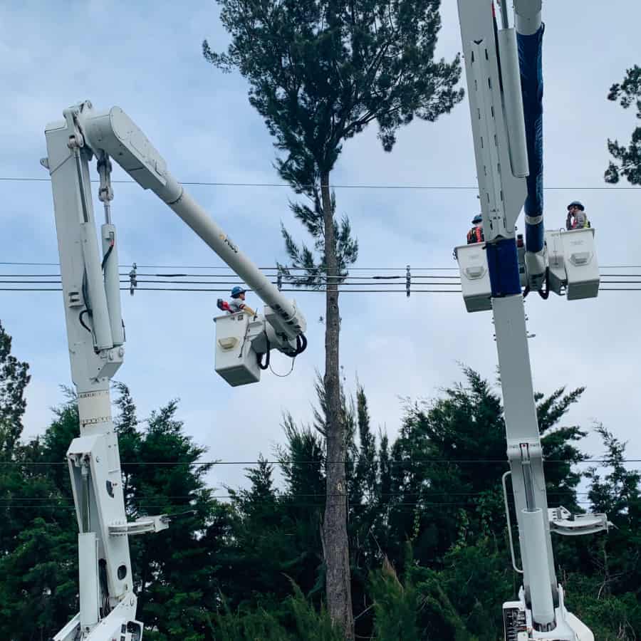 Cables Hendrix Ecológicos